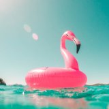 Bouée flamand rose